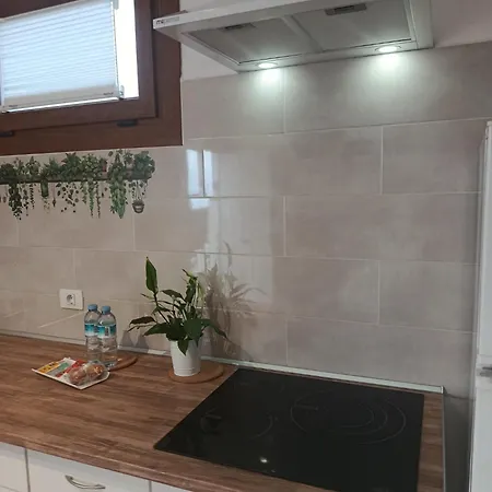 Apartamento Liz *